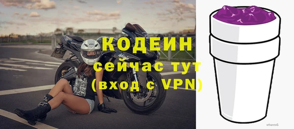 амф Верея