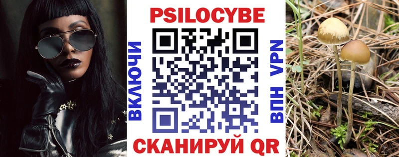 как найти наркотики  Симферополь  блэк спрут tor  Псилоцибиновые грибы Cubensis 
